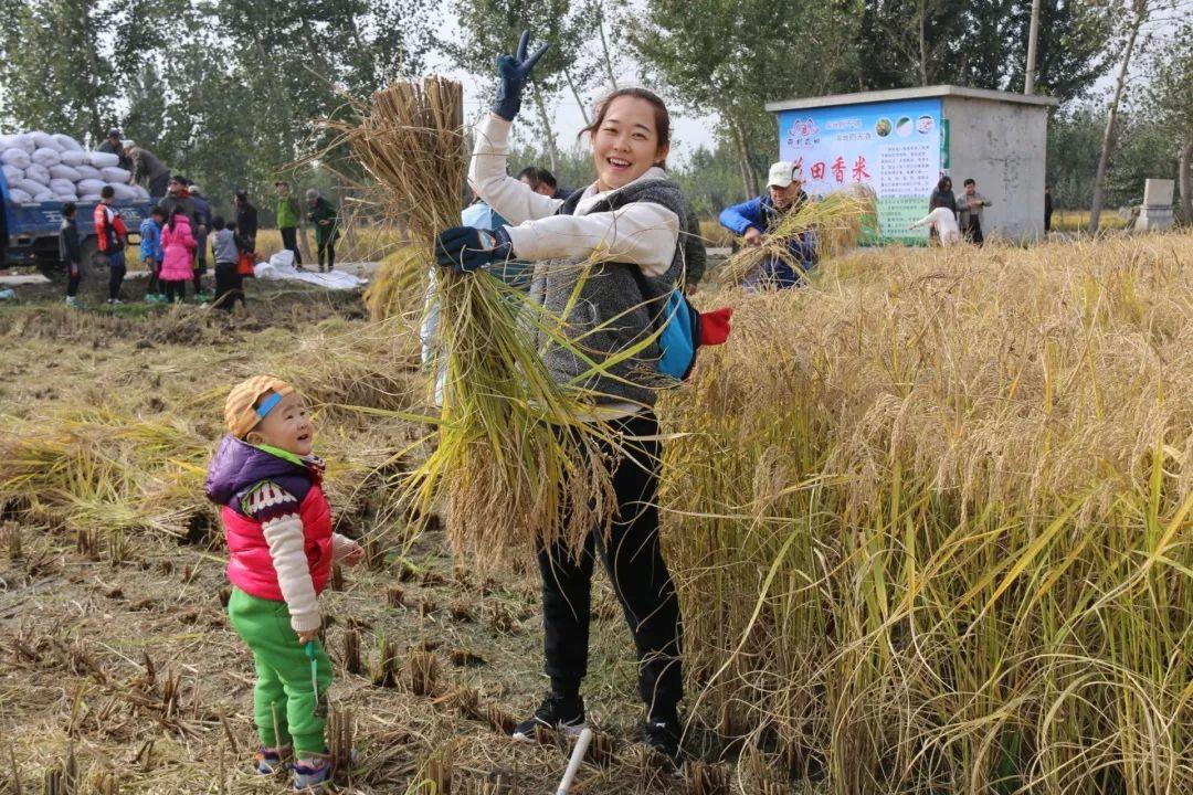 涿州市花田路最新动态，打造生态景观，推动城市繁荣