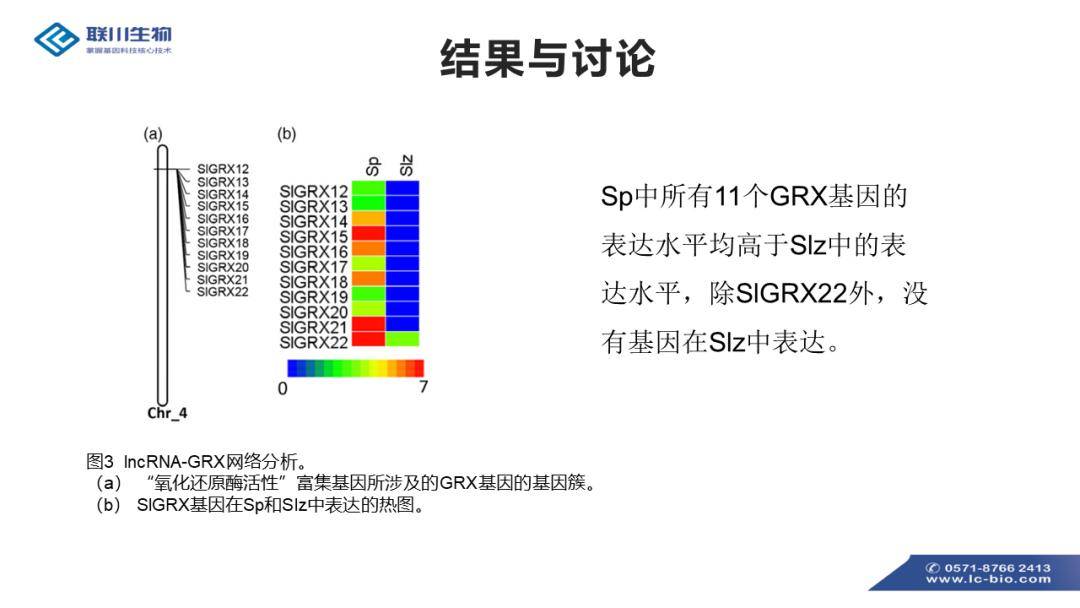 新澳内部资料免费精准37b,创新定义方案剖析_兼容款84.794