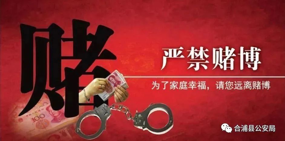 澳门王中王与犯罪行为的警示——警惕非法赌博的诱惑