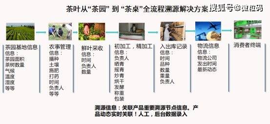 澳门精准一笑一码100,实地验证策略方案_定制版95.905