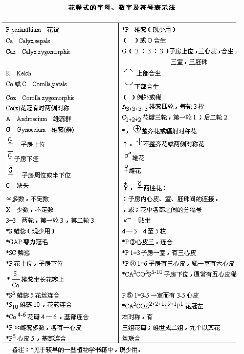 600图库大全免费资料图2024,科学依据解释定义_户外版97.269