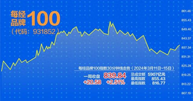 王中王100%期期准澳彩,专家说明解析_战略版24.251