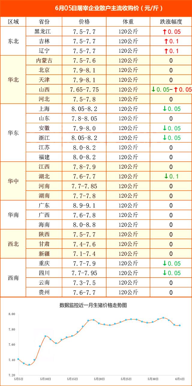 最新猪价表分析，今日市场走势与未来预测展望