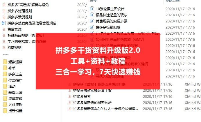 新澳天天免费精准资料大全,高速执行响应计划_D版28.720