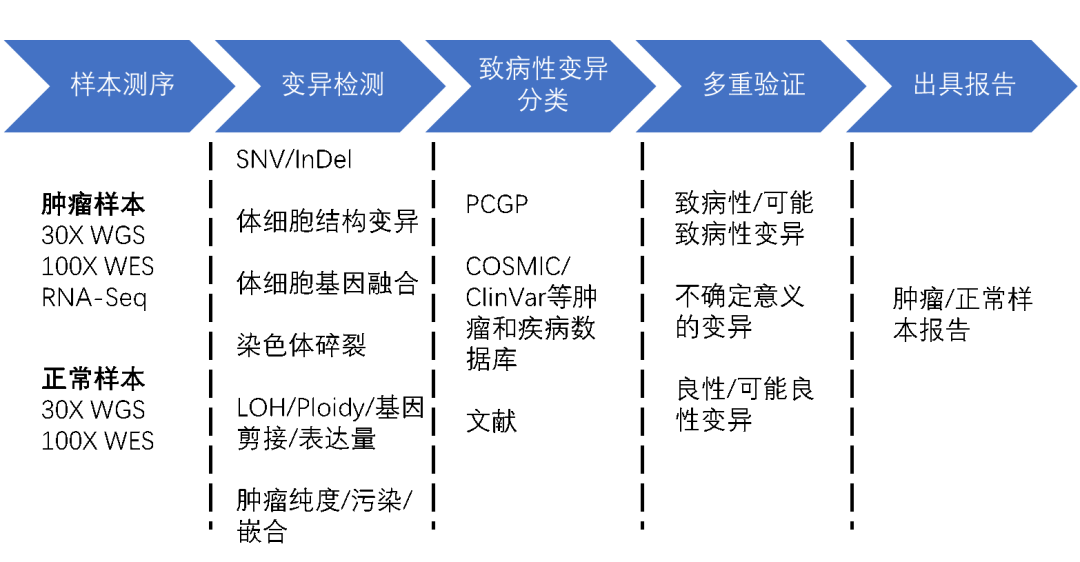 新澳精准资料免费大全,深层策略设计数据_SE版69.336