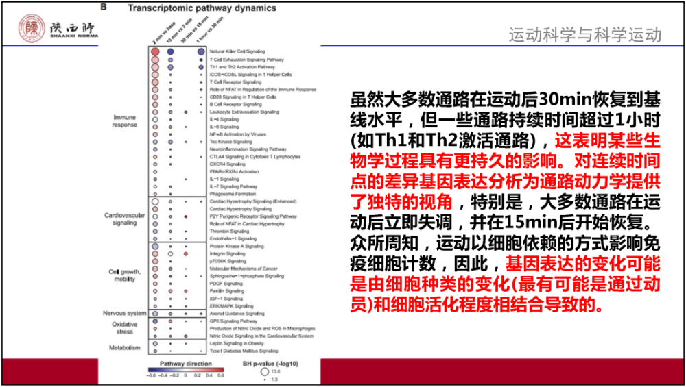 澳门内部最准资料澳门,系统解答解释落实_set16.225