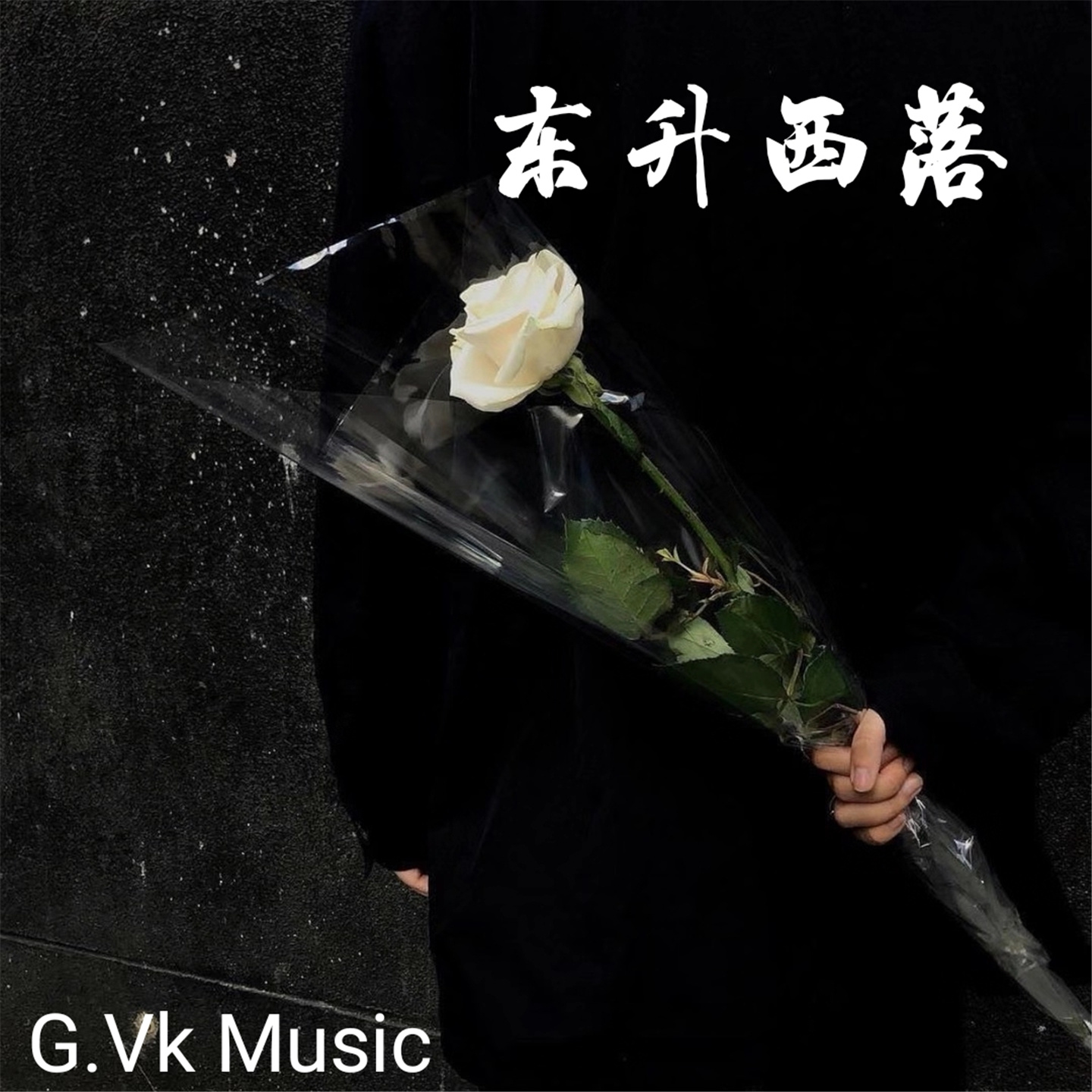 VK歌曲在线听，探索音乐世界的无限魅力