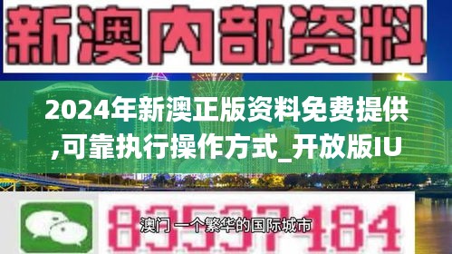 2024年新澳资料免费公开,实用性执行策略讲解_界面版55.128