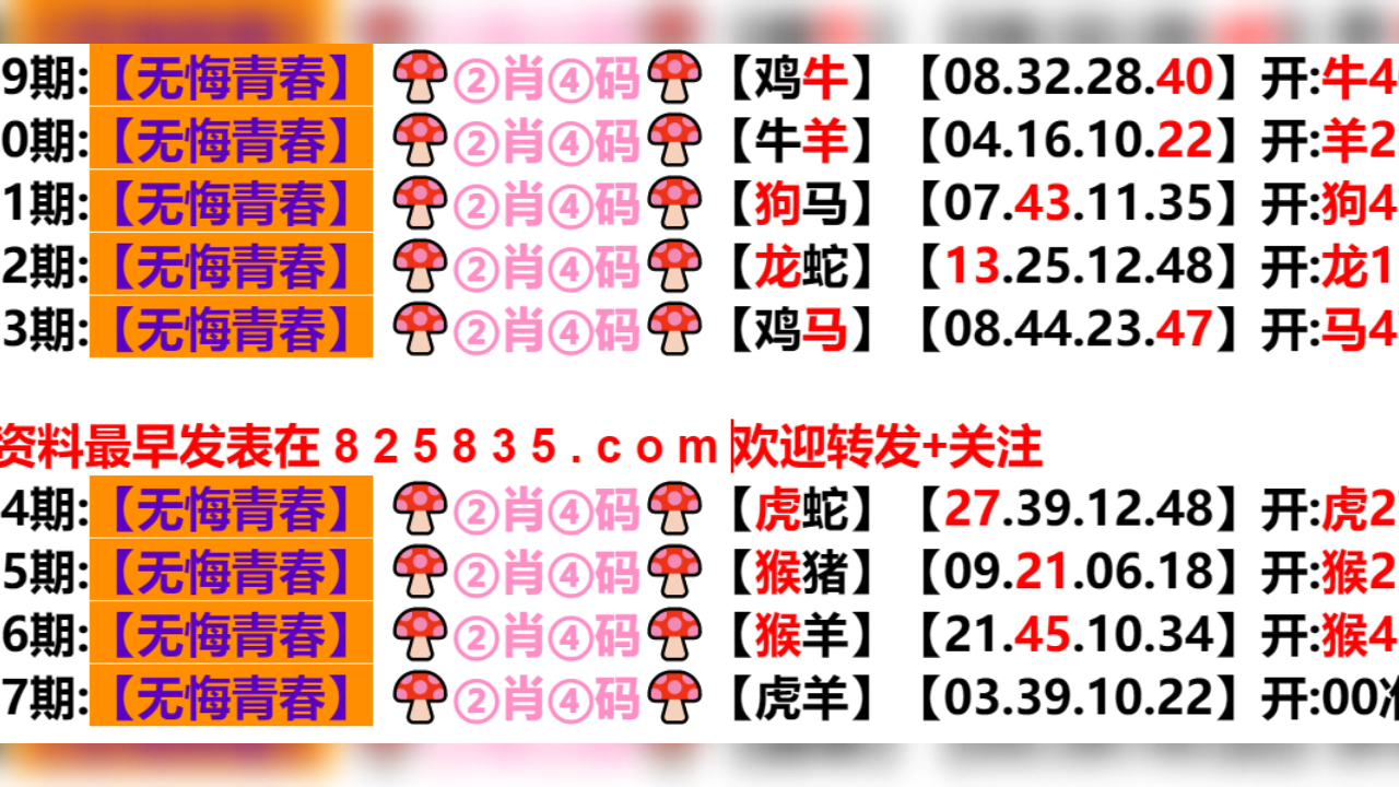 2024年新奥门天天开彩｜热门解析解读