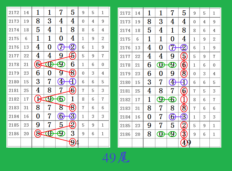 新澳门六开彩开奖网站,精细解析评估_标准版99.558