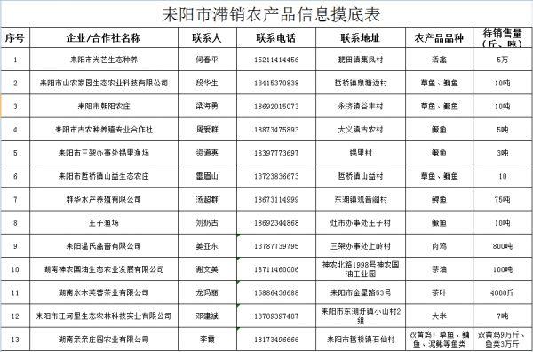 耒阳市科学技术和工业信息化局最新项目，引领科技创新，助力工业发展提速前进