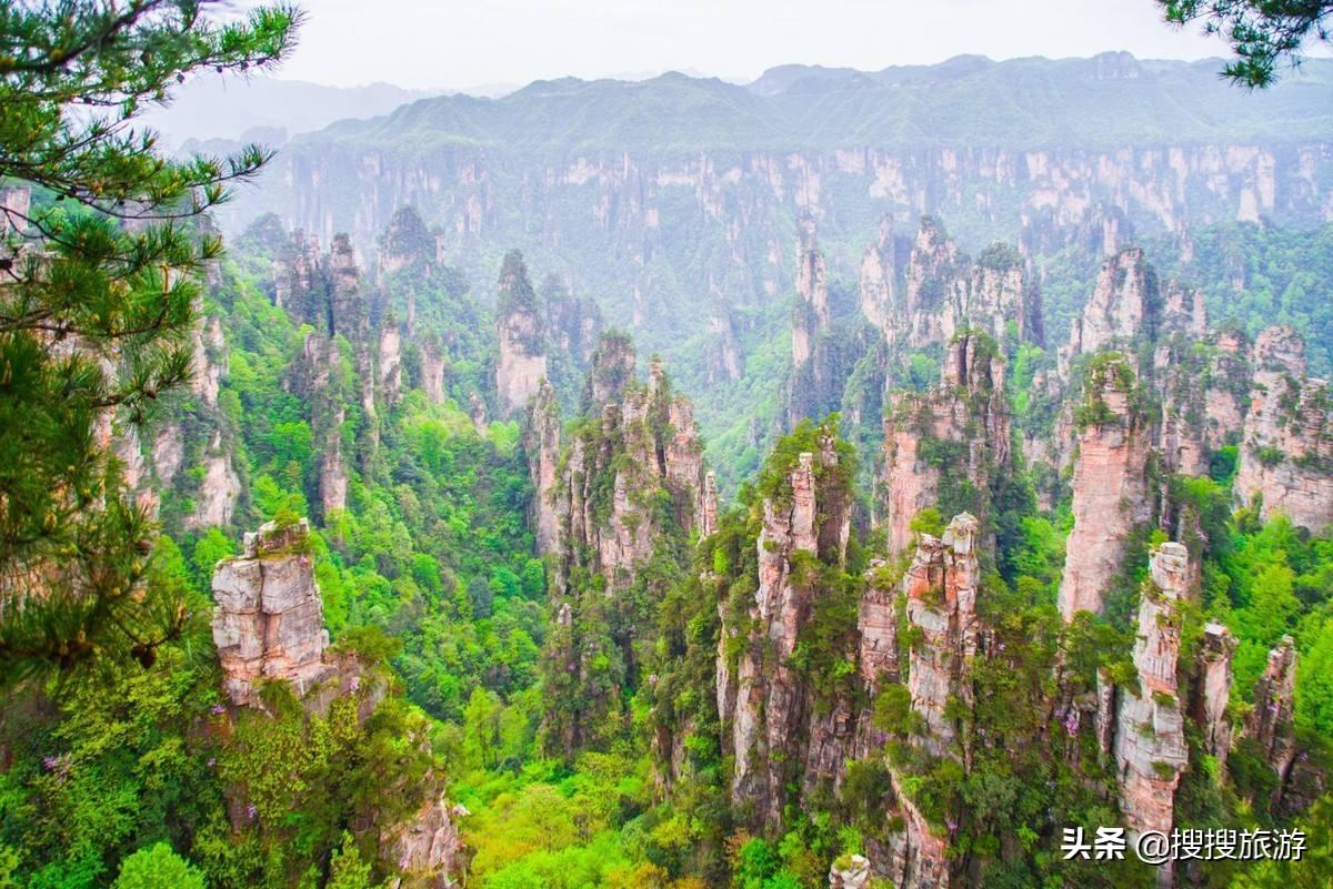 索溪峪土家族乡最新发展规划，走向繁荣与和谐共生之路