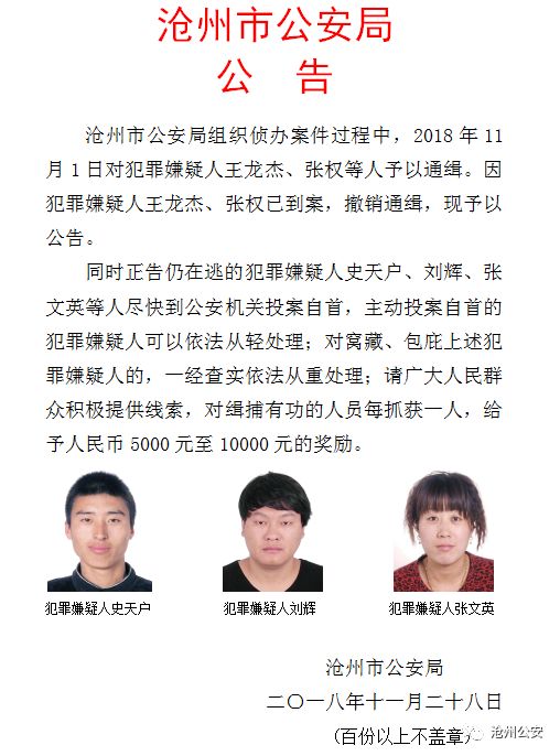 公安最新通缉令，守护公共安全的关键行动