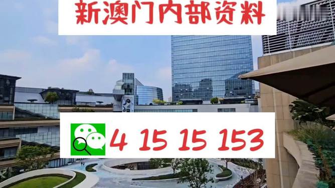 澳门最新网站的发展及其影响概述