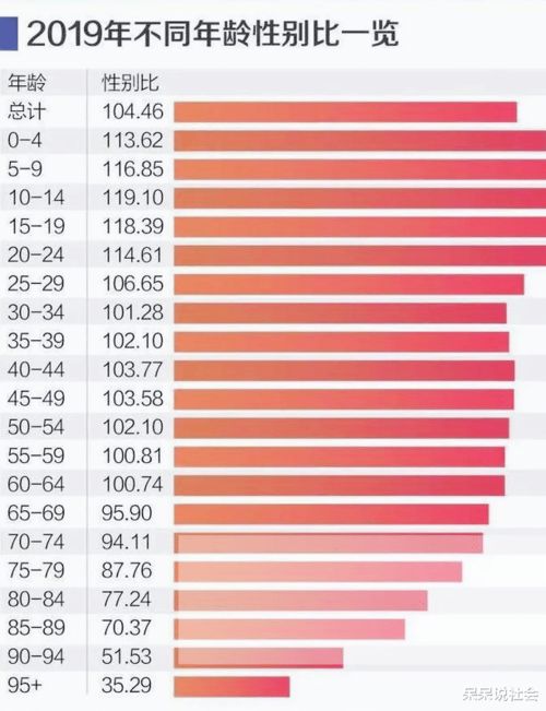 最新男女比例研究报告，挑战与机遇并存的时代分析